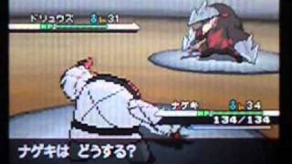 ポケモンブラックホワイト vsヤーコン Pokemon Black White Gym Leader Battle 05 Clay [upl. by Eniluqaj702]