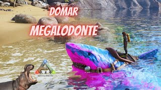 Como Domar Megalodonte  Ark Survival Evolved [upl. by Carlee]