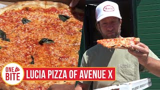 Barstool Pizza Review  Lucia Pizza Of Avenue X Brooklyn NY [upl. by Ahsinhoj]