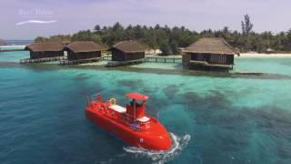 Best Dives Maldives  Semi Submarine [upl. by Setarcos325]