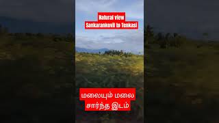 Thirunelveli Cheemayile  Seevalaperi Pandi  Napolean [upl. by Rezal125]