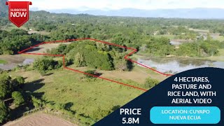 V218 4 HECTARES PASTURE AND RICE LAND PRICE 58M LOCATION CUYAPO NUEVA ECIJA WITH AERIAL VIDEO [upl. by Aradnahc437]