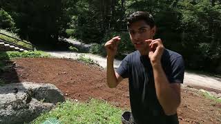 How to Establish a Permaculture Garden [upl. by Ulises]