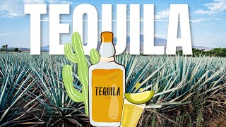 Tequila Making Process I Types of Tequila I Alcohol percentage I Tequila Blanco I Añejo Tequila I [upl. by Salvucci]