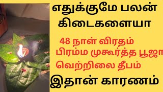 48 நாள் விரதம் பிரம்ம முகூர்த்தம்  வெற்றிலை தீபம் எதுக்குமே முருகன் பலன் கிடைகளையா [upl. by Stine]