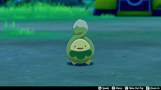 Budew In Camp  Pokemon Sword amp Shield [upl. by Naened]