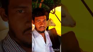 Mera Mann Hindi Short Video🤗 viralreels youtubevideo shortvideos shorts [upl. by Sirkin]