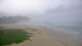 Cyclone Belal Webcam  lHermitage La Passe Beach Réunion [upl. by Taggart]