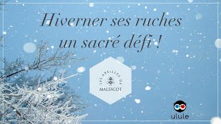 ❄️ Lhivernage des ruches quelle aventure  🐝 [upl. by Ditzel]