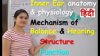 Inner Ear Anatomy amp Physiology in Hindi  part 2  Structure  Functions  balance amp hearing [upl. by Sousa334]