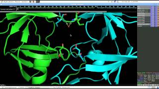 Biochemistry Structure of the HIV1 Protease [upl. by Ardelia]