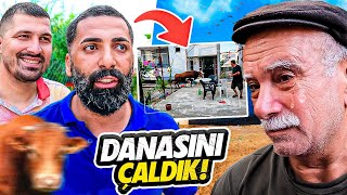 BABAMIN KURBANLIK DANASINI ÇALDIK [upl. by Tala]