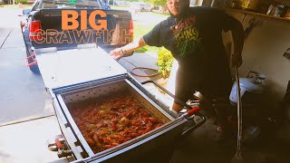 The Largest Crawfish of the Season Cooked to Perfection [upl. by Rajiv]