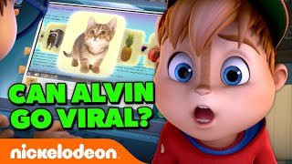 Can Alvin And The Chipmunks Go VIRAL On Social Media  ALVINNN  Nicktoons [upl. by Ahsitnauq]