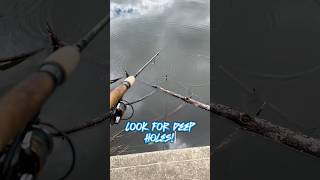 HOW TO FIND Catfish In A Lake 🎣 shorts fishing [upl. by Suravaj834]