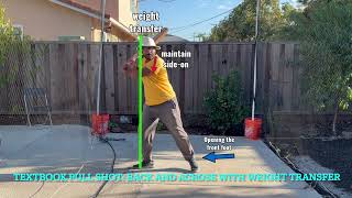 Become an attacking batsman and play bouncers with ease with this shot Full analysis with diagrams [upl. by Godewyn]