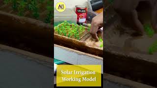 Science project  Solar irrigation working project schoolassignment [upl. by Eireva]