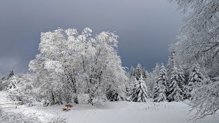 Harz 18 Januar 2024 [upl. by Anoiek]