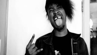 Danny Brown  Loosie [upl. by Acirt]