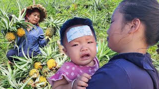 Single mother harvests pineapples 17yearold girl takes care of sick baby [upl. by Ayhtnic]