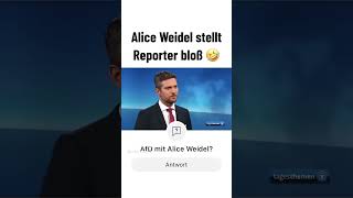 Weidel vs Tagesschaumoderator [upl. by Eusadnilem]