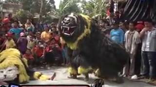 BARONGAN CILIK VS GANONG LIVE IN WINONG KENDAL [upl. by Alodee921]