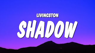 Livingston  Shadow Lyrics quotdont think twice youll be dead in a secondquot [upl. by Ettore]