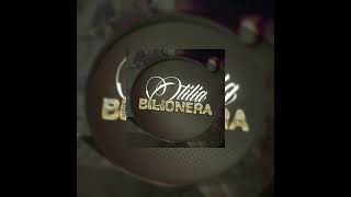 Otilia  Bilionera REMIX [upl. by Atik]