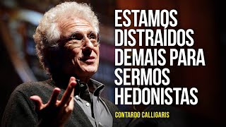 Contardo Calligaris – quotEstamos distraídos demais para sermos hedonistasquot [upl. by Aidahs]