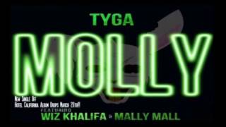 Tyga Ft Wiz Khalifa amp Mally Mall  Molly Hotel California [upl. by Peih979]