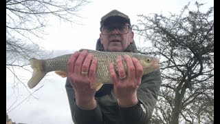 Chub fishing on the River Welland following pretty serious flooding The effort was worth [upl. by Aitsirt]