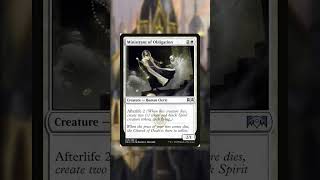 Teysa Karlov EDH  Budget Building Buy Reprints  mtg edh commander budget [upl. by Enialed]