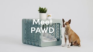 KindTail Medium Collapsible Pet Crate [upl. by Gibbs]