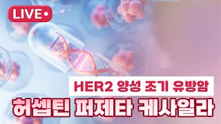 HER2 양성 조기 유방암 허셉틴 퍼제타 케사일라 [upl. by Orvan]