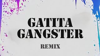 GATITA GANGSTER REMIX REMIX FIESTERO NAHUEL IN THE MIX [upl. by Sidky]