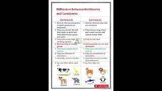 Difference between herbivores and carnivores [upl. by Nnairrehs]