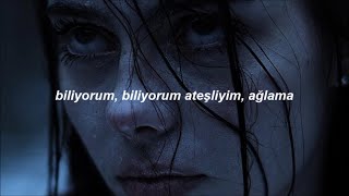 Sickick  Intro Infected Türkçe Çeviri [upl. by Ahsiam]