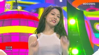 AOA  Bingle Bangle Inkigayo Ep 962 [upl. by Kavanaugh401]