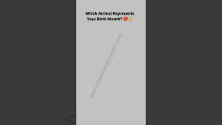 Which Animal Represents Your Birthday Monthshorts ytshorts trendingshorts viralshorts [upl. by Grew]