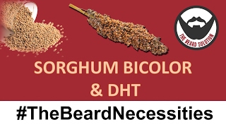 Sorghum Bicolor For Boosting Beard Growth  LINKS IN DESCRIPTION  TheBeardnecessities  Ep 28 [upl. by Lalaj]