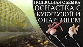 ОСНАСТКА С КУКУРУЗОЙ И ОПАРЫШЕМ ДЛЯ КРУПНОЙ РЫБЫ Подводная съёмка [upl. by Animlehliw]