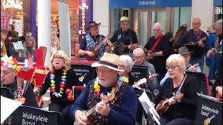 Honolulu Baby Wakeylele Band White Rose Centre Leeds March 2024 [upl. by Aniram]