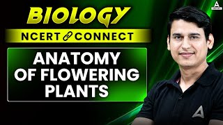 ANATOMY OF FLOWERING PLANTS CLASS 11  NEET 2025  BIOLOGY NCERT CONNECT SERIES  NEET BOTANY [upl. by Vasiliu540]