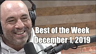 Best of the Week  December 1 2019  Joe Rogan Experience [upl. by Zindman]