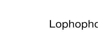 How to pronounce Lophophorus [upl. by Ydnerb273]