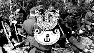 Idą leśni  Song of Polish Partisans [upl. by Carmelia]