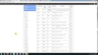 United Nations Salary Level and Grades [upl. by Burnard438]