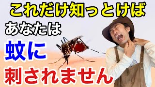 【もう蚊が来ない】 びっくりするくらい蚊が寄ってきません 【カーメン君】【園芸】【ガーデニング】【初心者】 [upl. by Juanita]