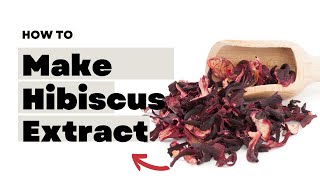 How To Make Hibiscus ExtractGlycerite At Home  For Skin amp Hair [upl. by Loree]