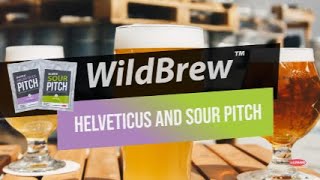 WildBrew Helveticus and Sour Pitch [upl. by Mohamed]